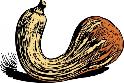 425x286 Glasses With Gps Clip Art Free Vector 4vector