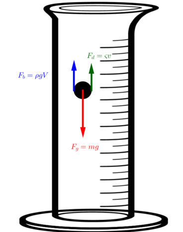 368x468 Andrewsadvphyslab