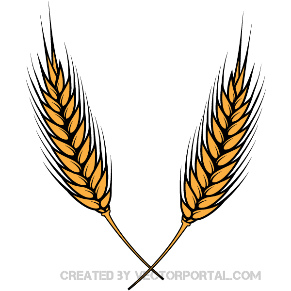 600x600 Grain Clipart Leaf
