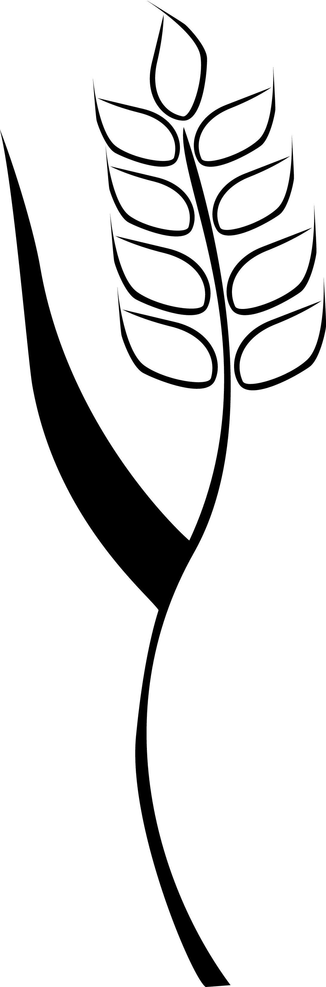 1092x3300 Grain Clipart Single