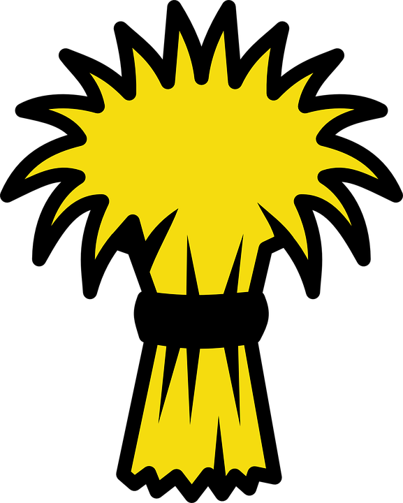 577x720 Wheat Clipart Animated