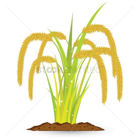 450x450 Free Soils Stock Vectors Stockunlimited
