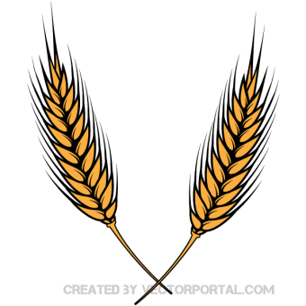 340x340 Wheat Clipart Images Vectors Download Free Vector Art