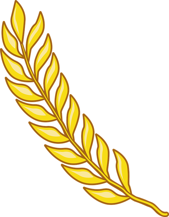 562x720 Grains Clipart Padi