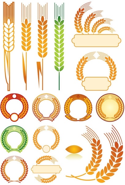 408x600 Wheat Free Vector Download (317 Free Vector) For Commercial Use
