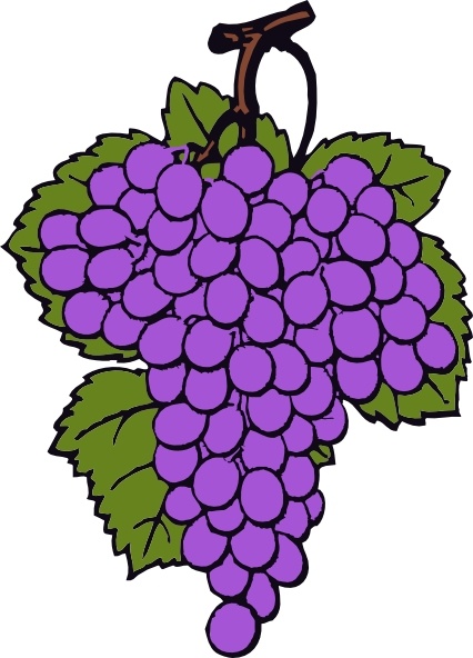 426x592 Grape Cluster Clip Art Free Vector In Open Office Drawing Svg