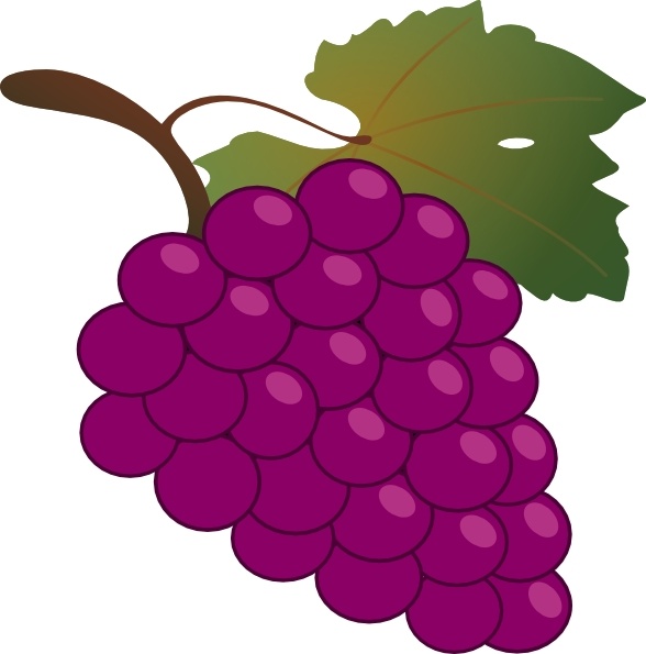588x595 Grape Clip Art Free Vector In Open Office Drawing Svg ( Svg