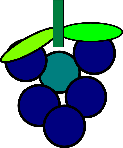 498x597 Grapes Clip Art
