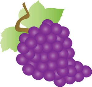 300x283 Purple Grapes Clipart Image