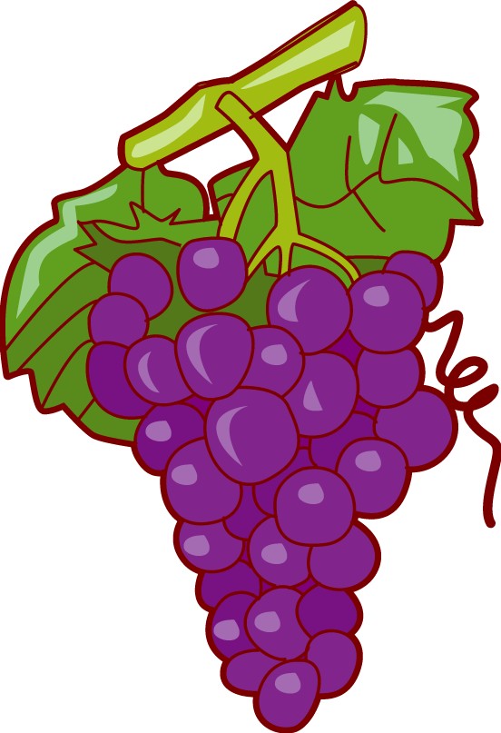 552x807 Grapes Clip Art