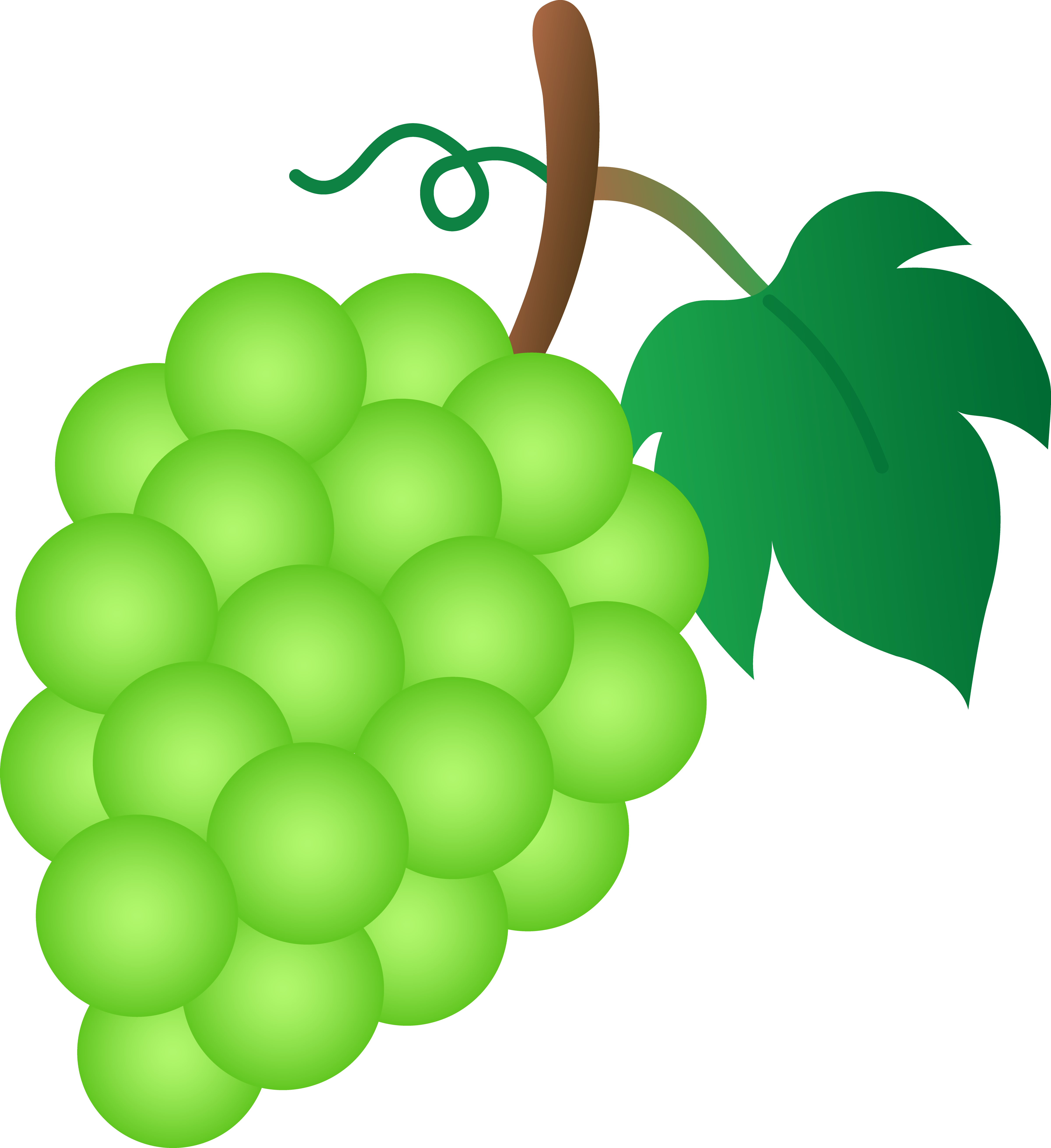 4801x5243 Bunch Of Green Grapes