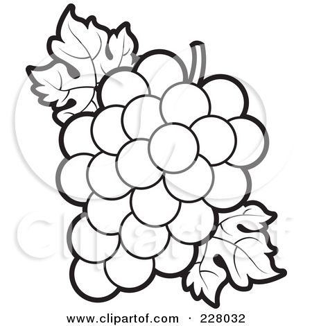 450x470 Drawn Grape Black And White