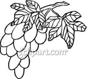300x270 Monochrome Clipart Grape