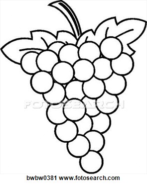 295x370 Uva Clip Art
