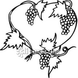 300x300 And White Grapevine