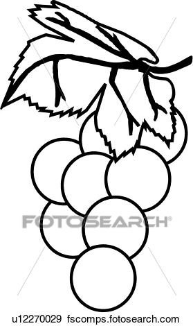 279x470 Clip Art Of Grapes U12270029