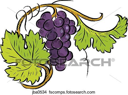 450x334 Drawings Of Grapes And Vines Jba0534