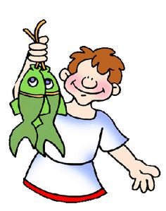 236x299 Grape Clipart Roman