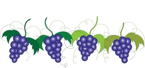 300x140 Grapes Clipart Image