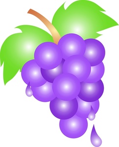 243x300 Purple Grapes Clip Art