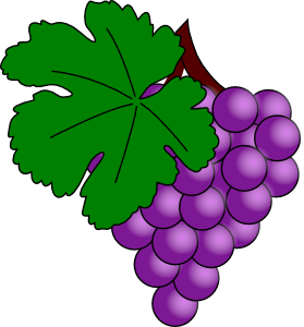279x300 Grape With Vine Leaf Clip Art