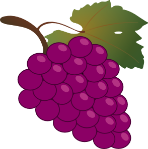 294x297 Grapes Clipart Grape Leaf