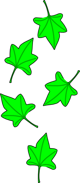 258x588 Green Grape Tree Leaves Clip Art