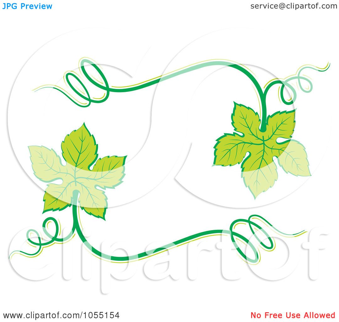1080x1024 Royalty Free Vector Clip Art Illustration Of A Frame Of Grape