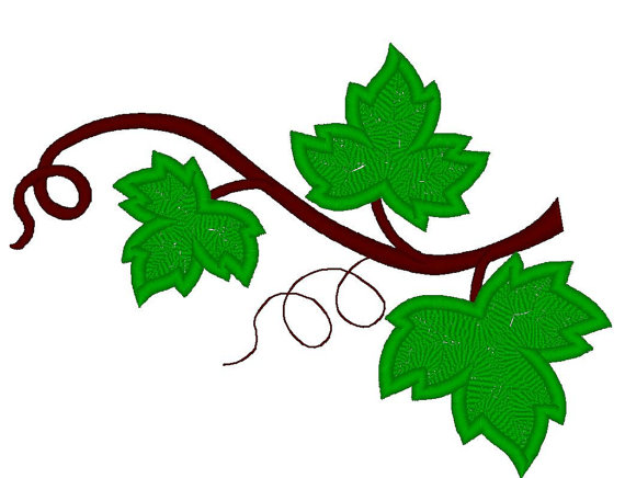 grape leaf clipart