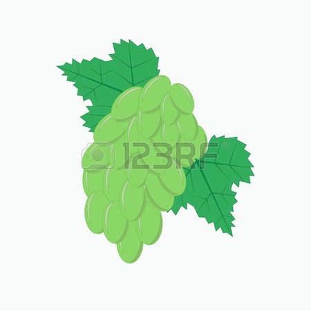 450x450 Grape Leaves. Vector Royalty Free Cliparts, Vectors, And Stock