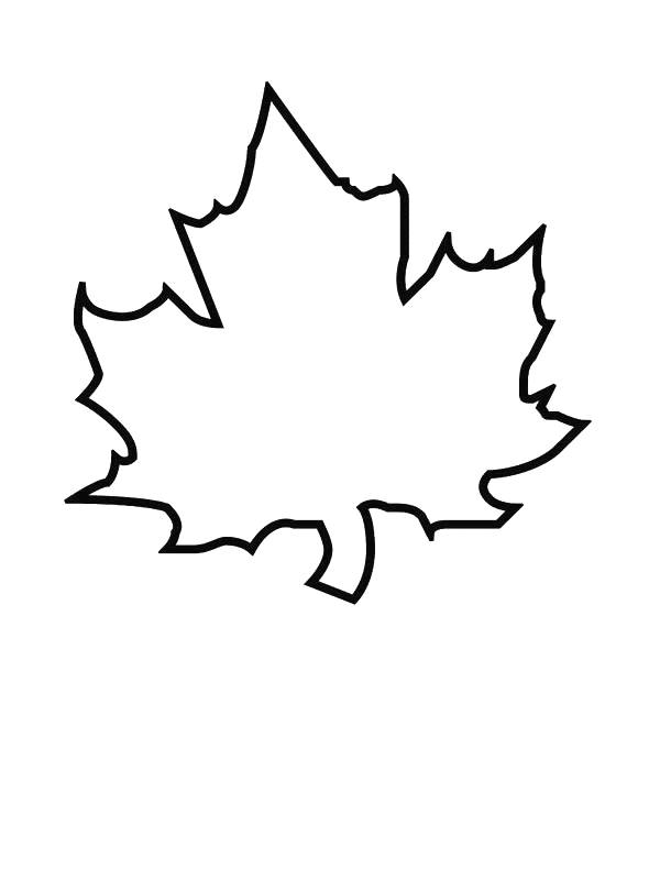 600x800 Pictures Of Grape Leaves Clipartsco Grape Leaf Coloring Page