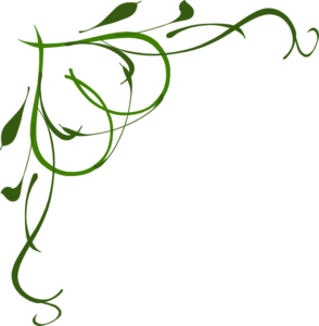 294x300 Free Clipart Vine