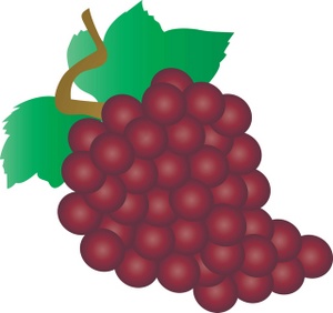 300x282 Grapes Grape Art On Vines Clip Free And Clipartix 2