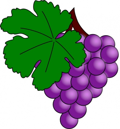 394x425 Grapes Vine Clipart Grape With Vine Leaf Clip Art Id 65343