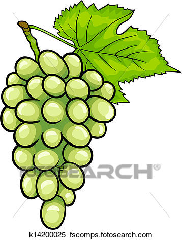 358x470 Clipart Of White Grapes Fruit Cartoon Illustration K14200025