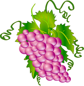 Grape Vines Clipart