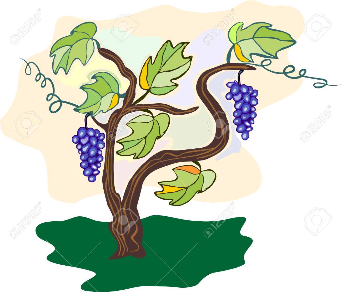 Grape Vines Clipart | Free download on ClipArtMag