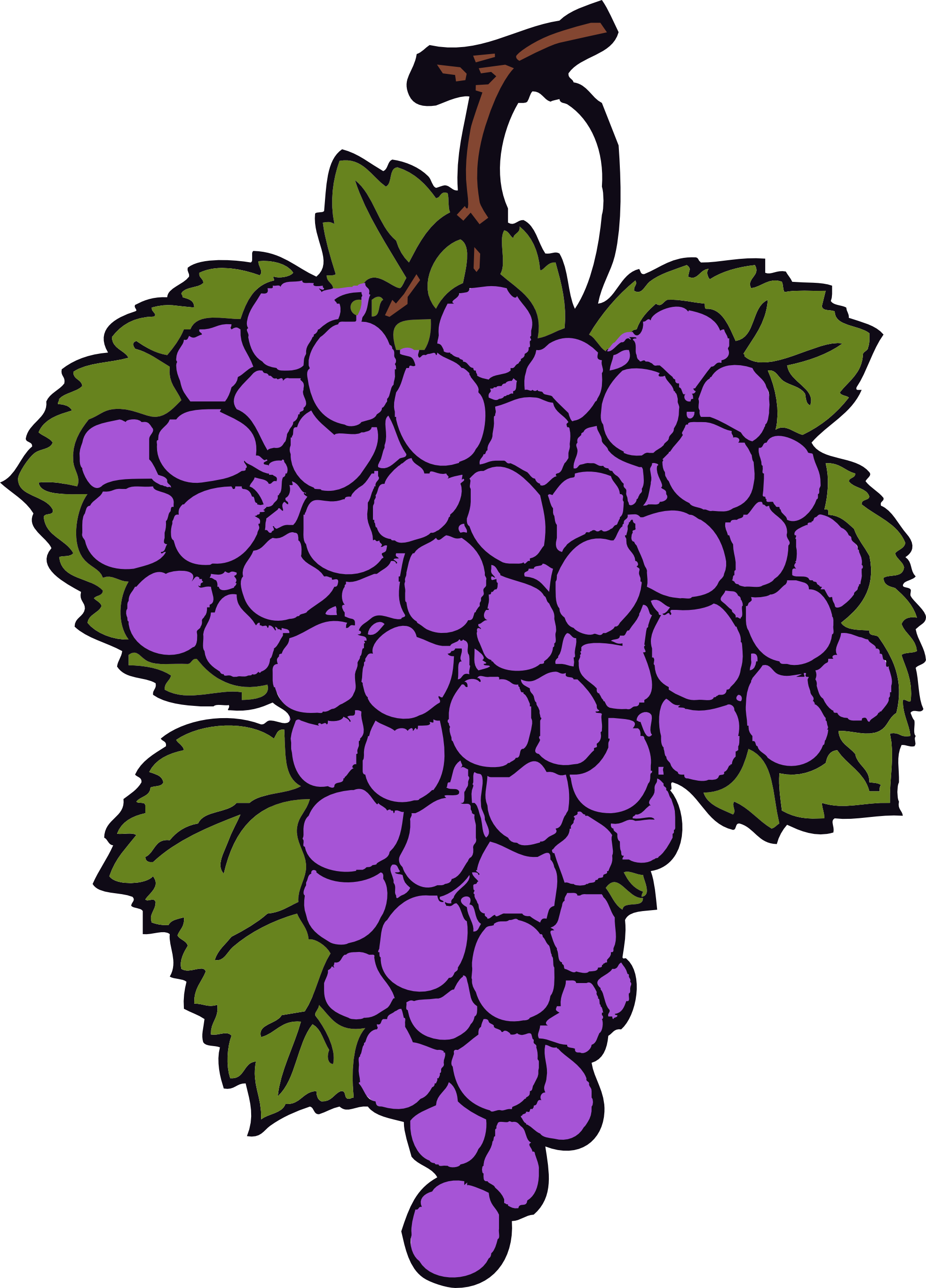 1969x2737 Grapes Images About Clip Art On Public Domain Grape