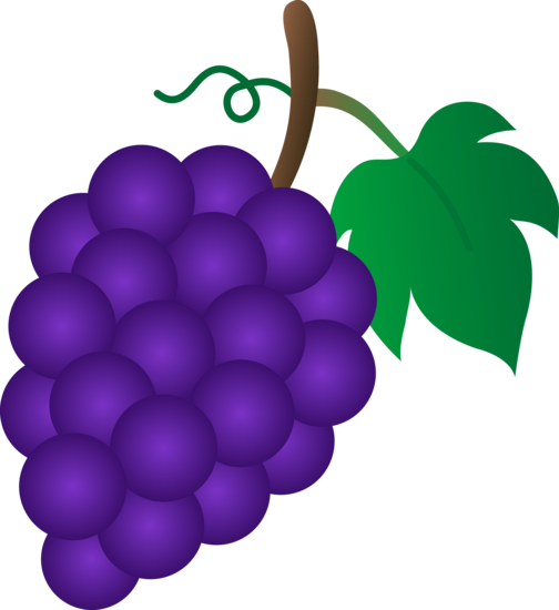 504x550 Vine And Branches Grapes Clip Art Images S
