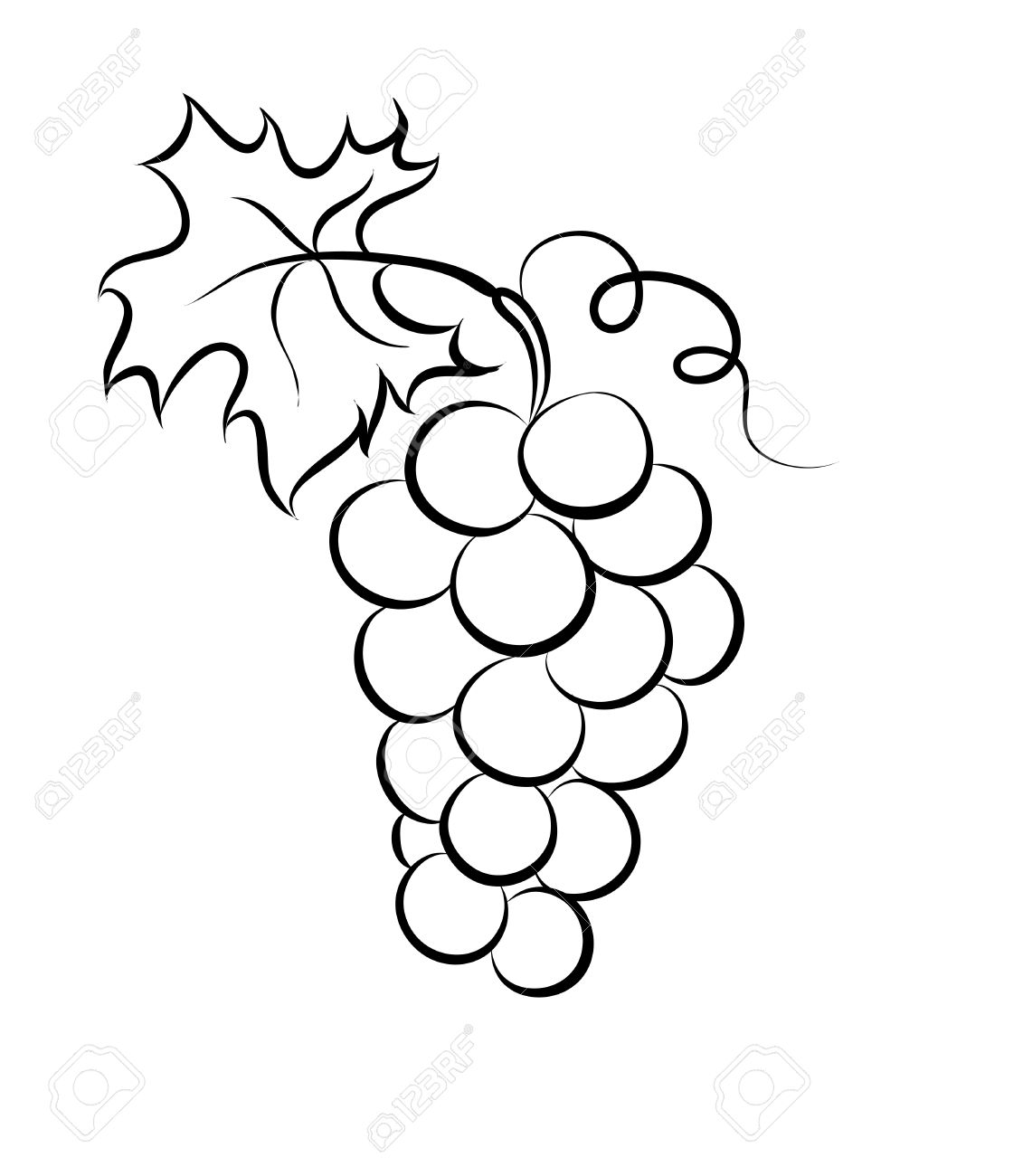 1131x1300 Drawn Grapes Black And White