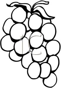 207x300 Grapes Clipart Black And White Clipart Panda