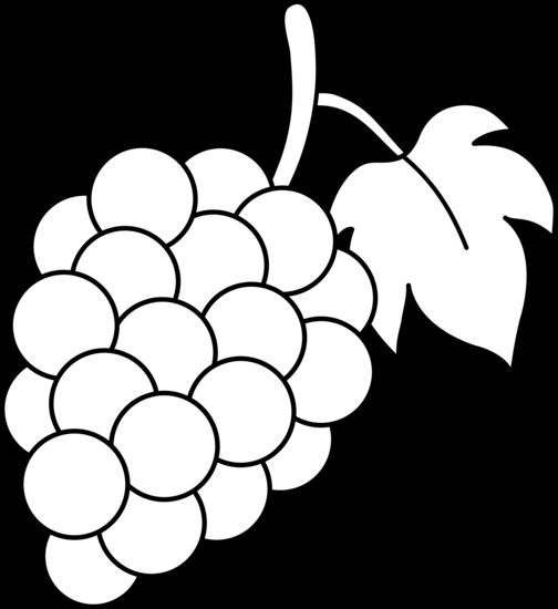504x550 Monochrome Clipart Grape