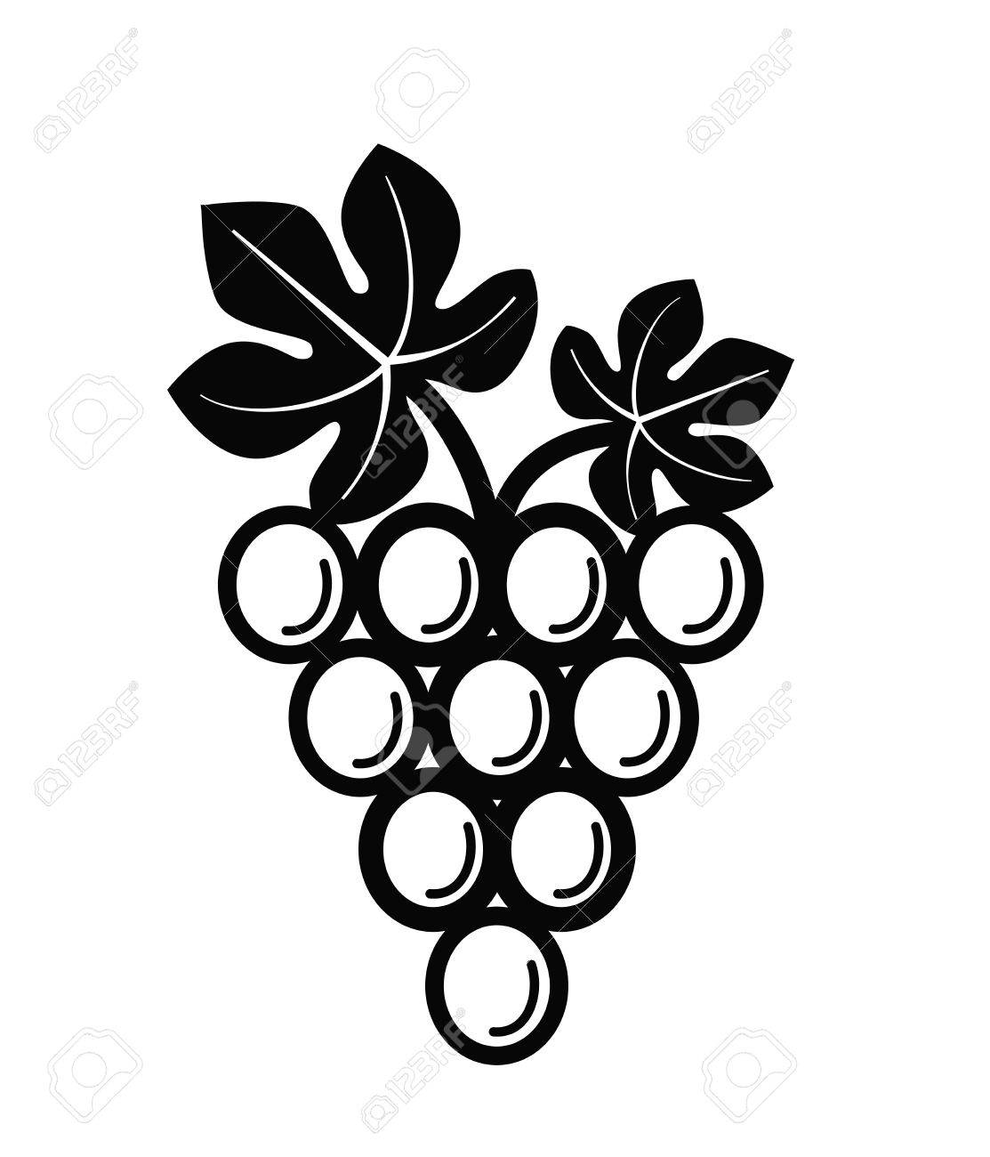 1113x1300 Vector Black Illustration Of Grapes On White Royalty Free Cliparts
