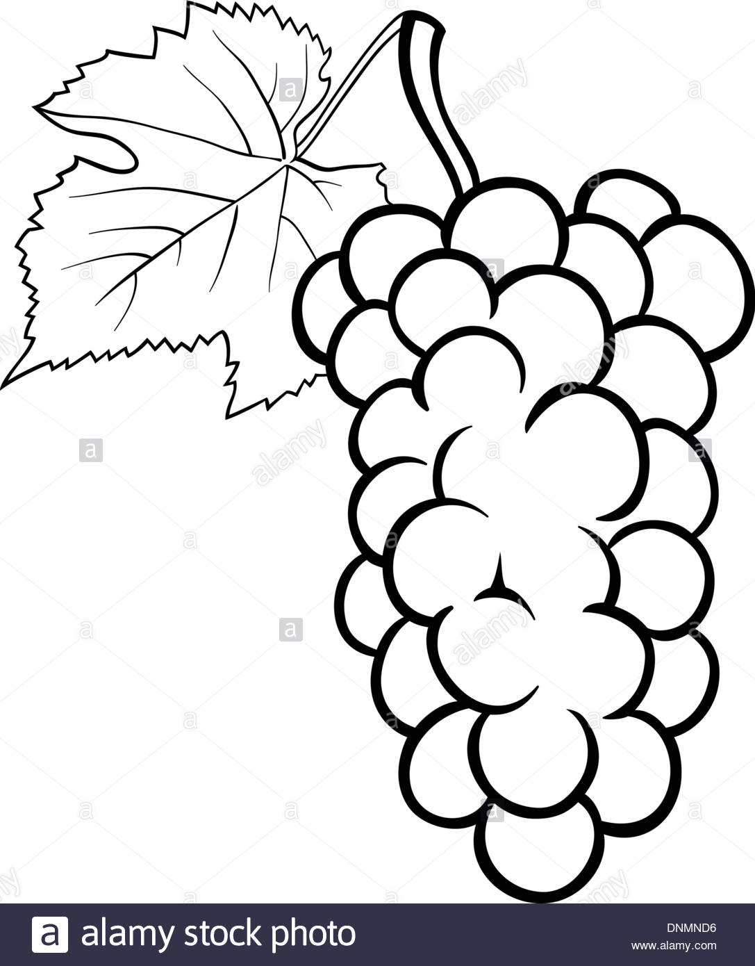 1087x1390 Black And White Cartoon Illustration Of Bunch Of Grapes