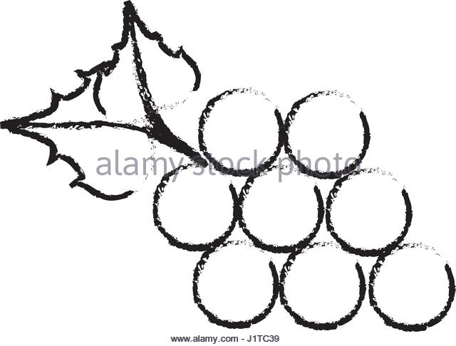 640x486 Bunch Of Grapes Black And White Stock Photos Amp Images