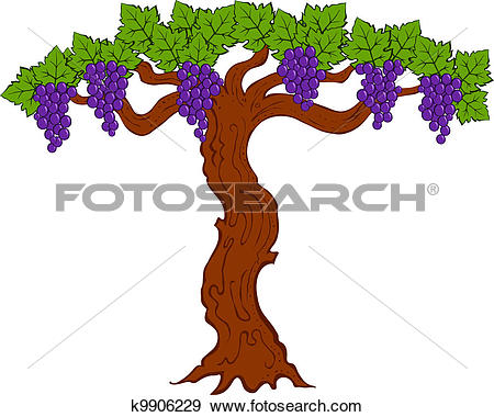 450x380 Grapes Tree Clipart Amp Grapes Tree Clip Art Images