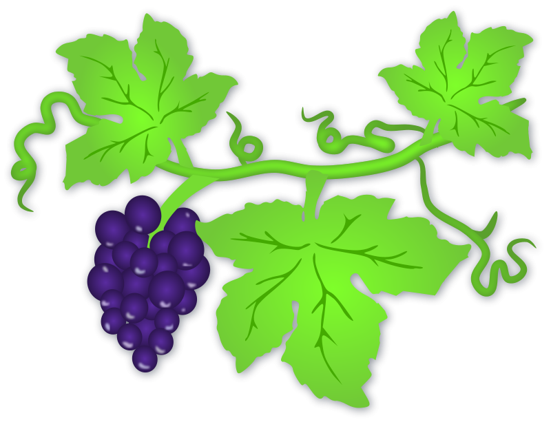 800x613 Grapes Clip Art Download