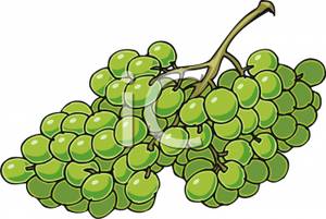300x201 Bunch Of Grapes Clipart