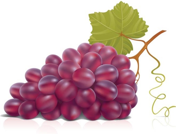 600x455 Top 69 Grape Clip Art