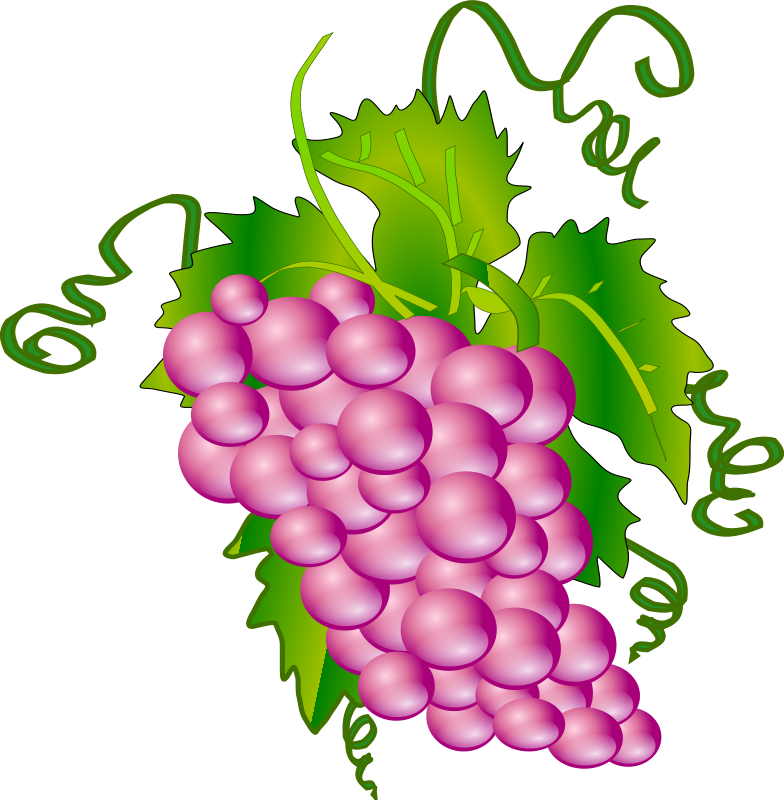 784x800 Free Grapes Clip Art